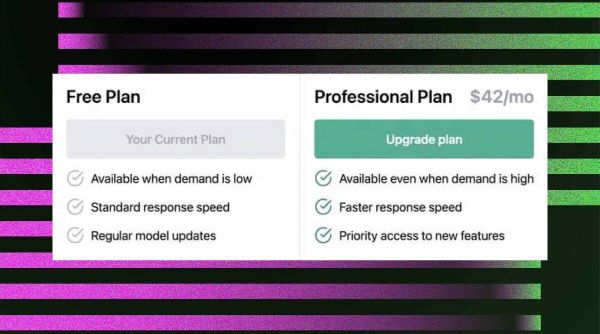 ChatGPT Professional Paid Version