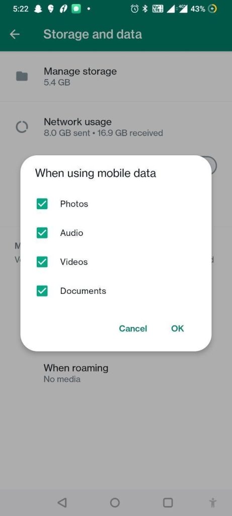 Media auto-download