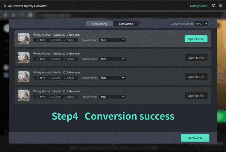 conversion success