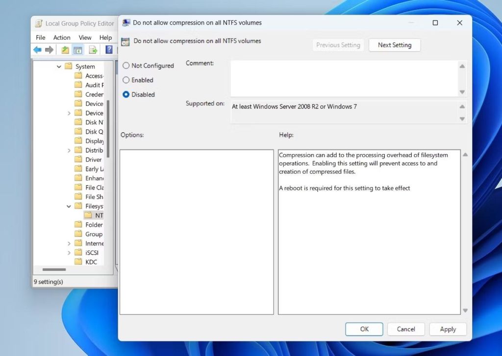 Disabled option