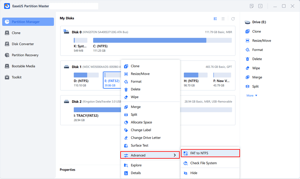 EaseUS Partition Master
