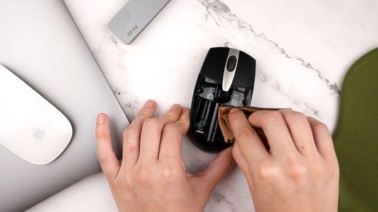 Examine Your Mouse