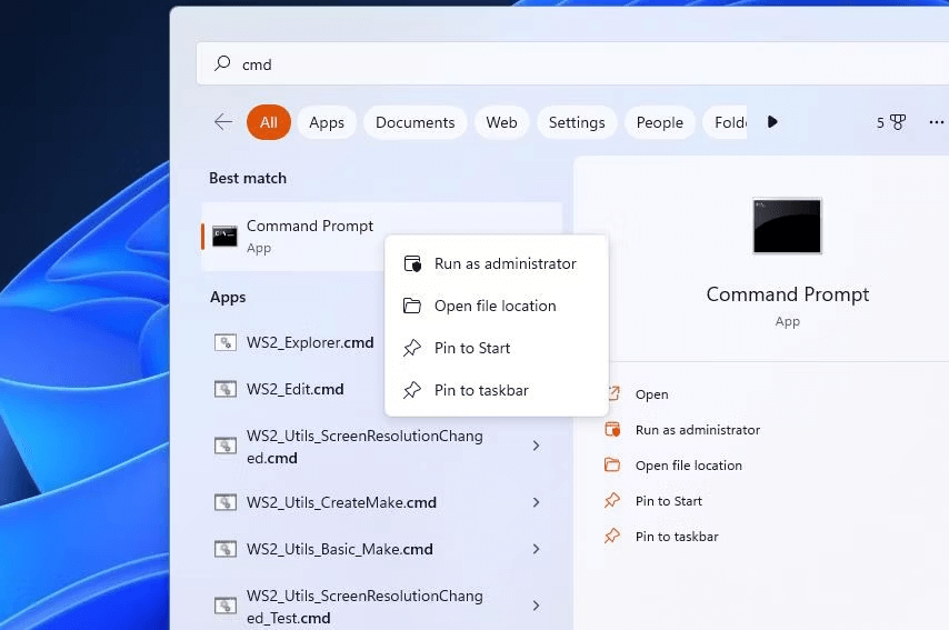 Run System File Checker And Deployment Image scans