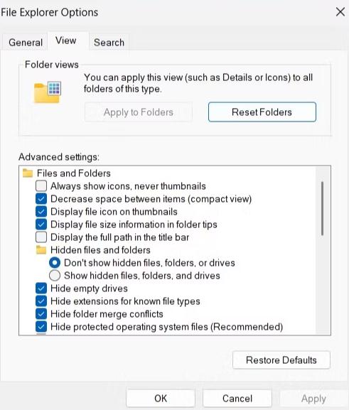 file explorer options
