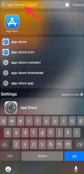'App Store'