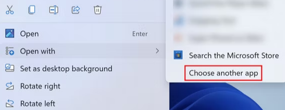 Choose Another App