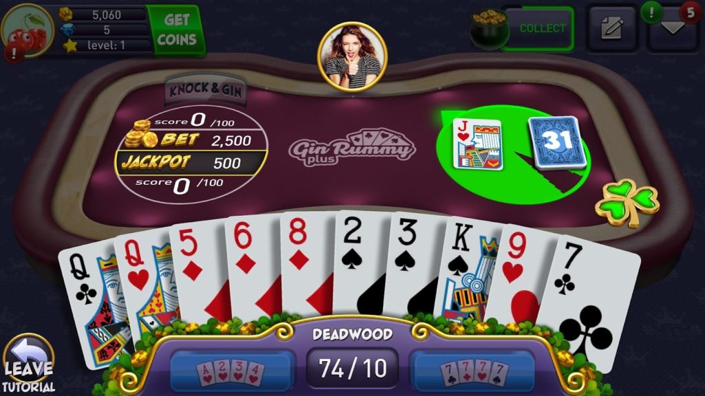 Gin Rummy Plus