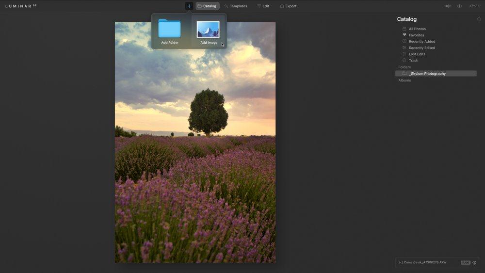 Luminar AI 