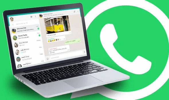 WhatsApp Multi-Selection Feature