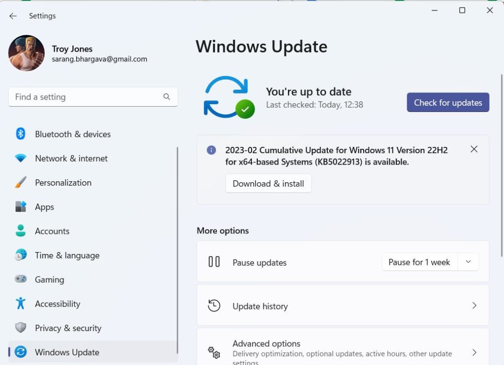 Windows Update