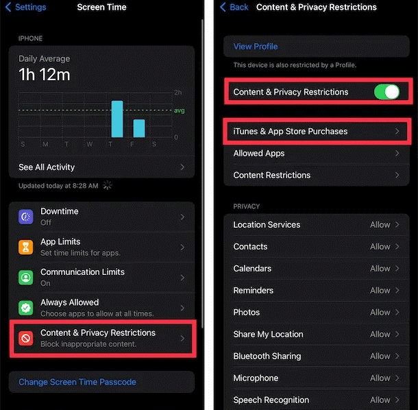 iTunes & App Store Purchases