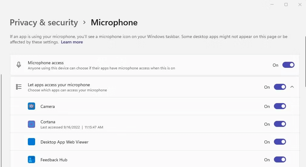 option for microphone