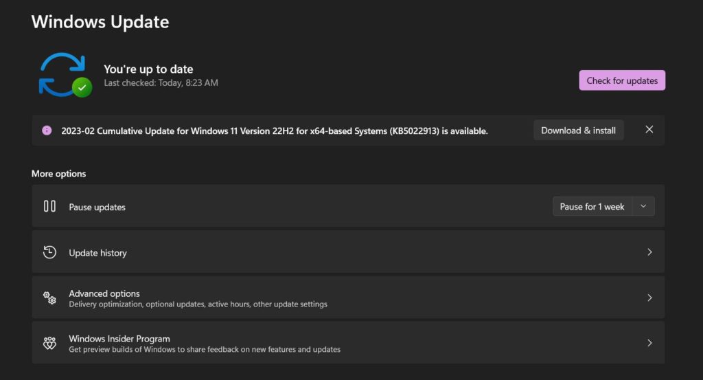update windows