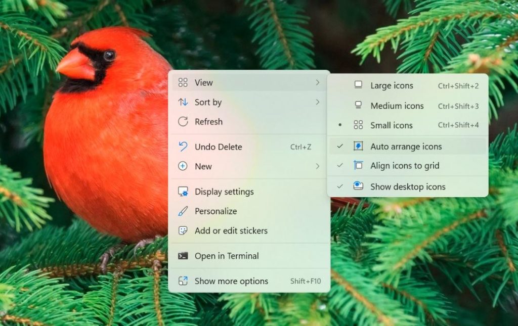 Enable Icon Features