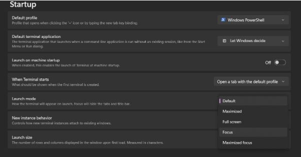 Focus Mode on Terminal