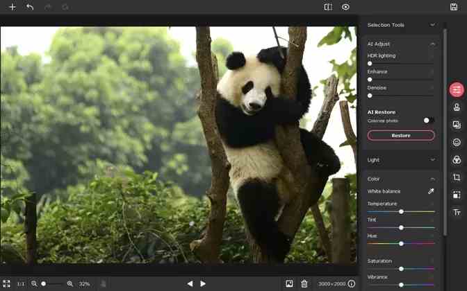 Movavi Picverse Photo Editor