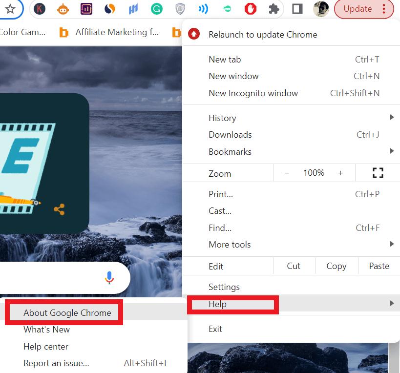 Update Google Chrome