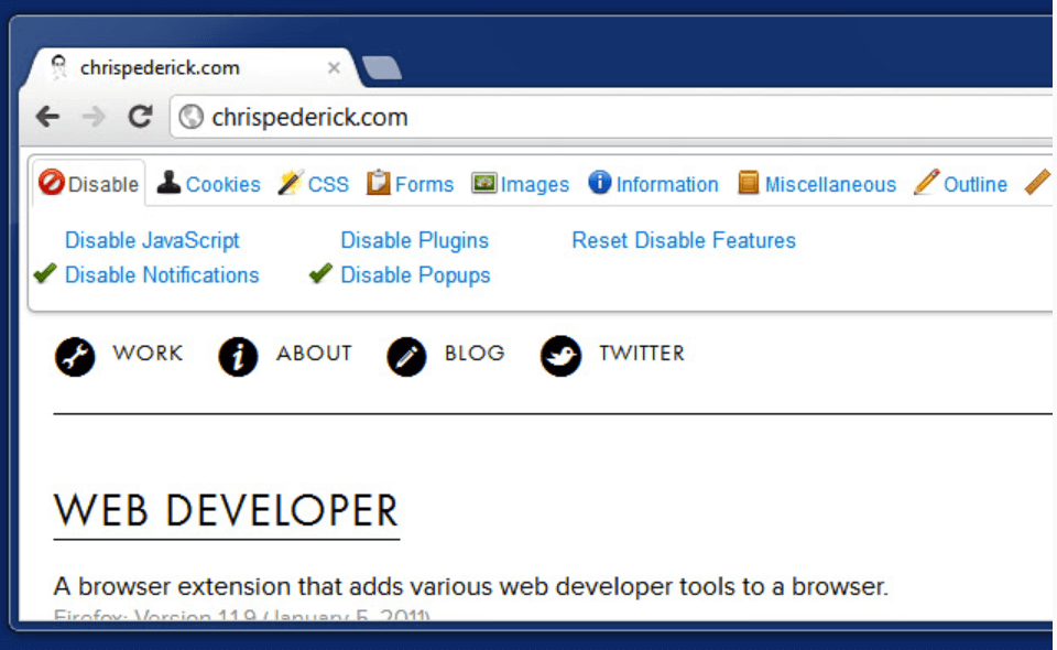 Web Developer