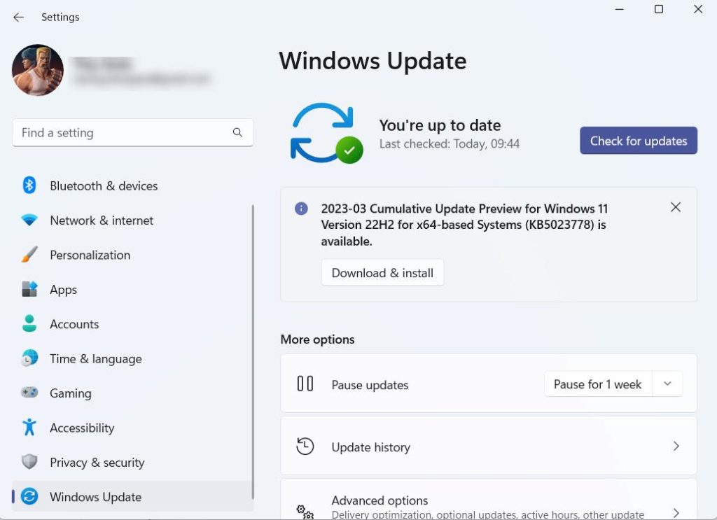 Windows update