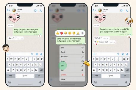 Edit WhatsApp Messages
