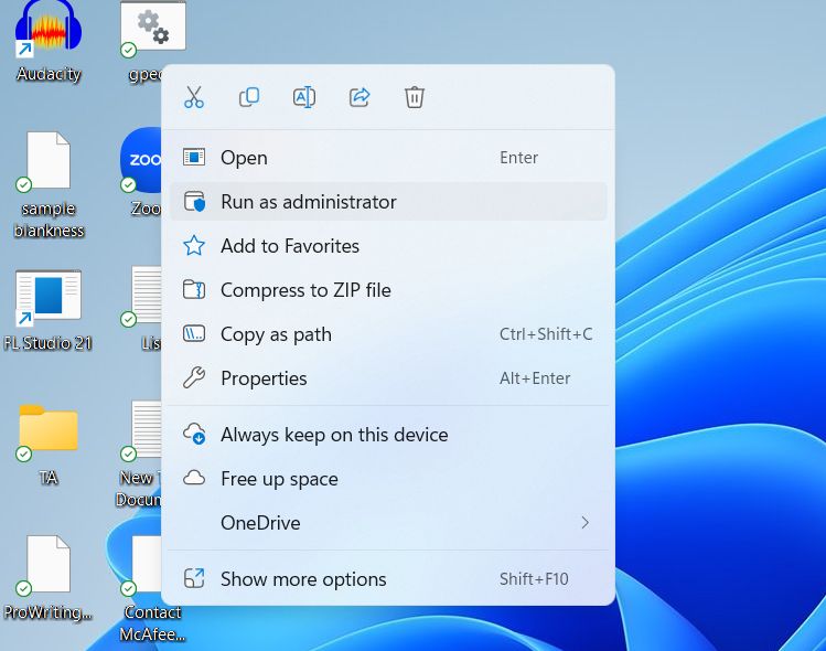file as administrator