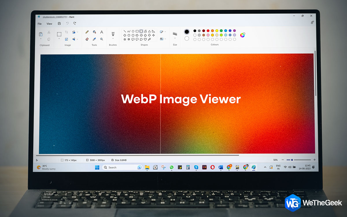 5 Best WebP Image Viewer for Windows 11/10