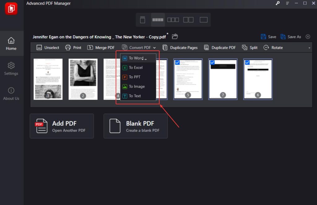 Convert PDF Documents