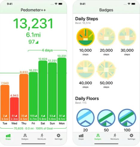 Pedometer