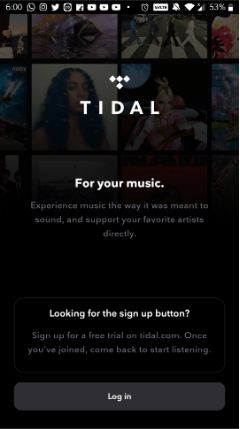 Tidal