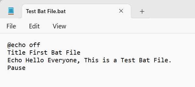 test bat file