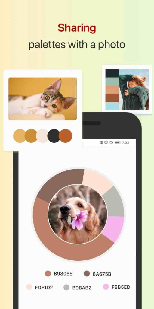 Color Collect