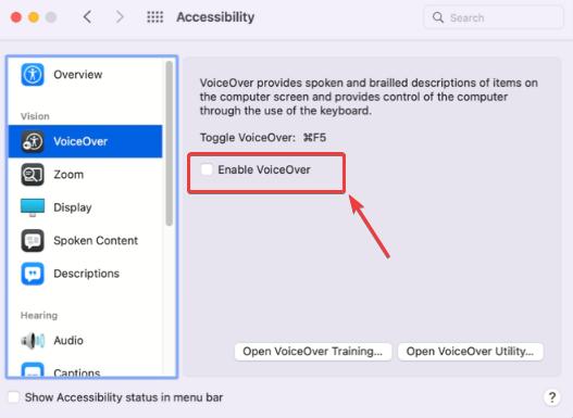 Enable VoiceOver