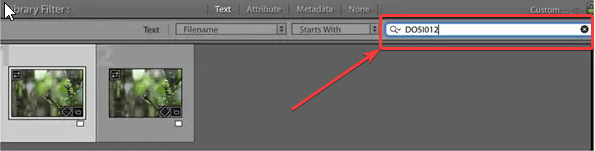 Filter bar