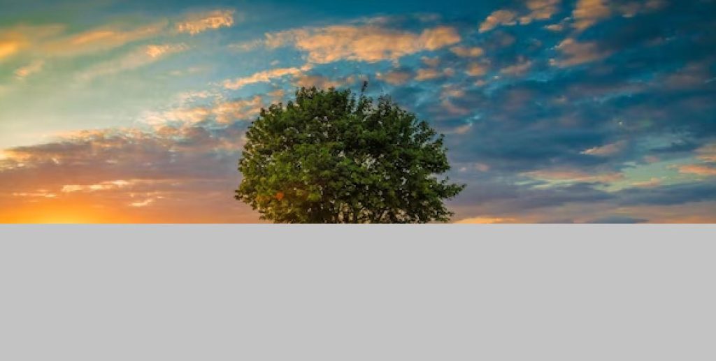 Get Grey Box Over Photos