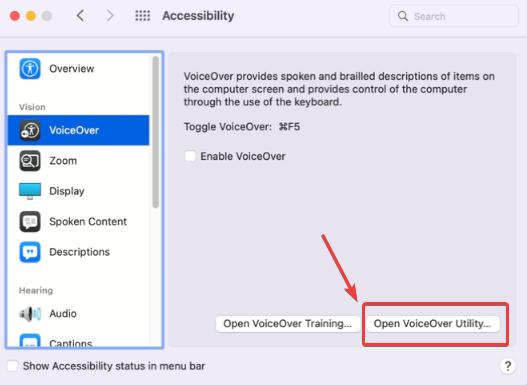 VoiceOver Utility