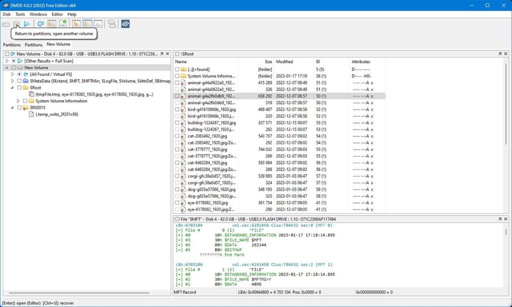 DM Disk Editor