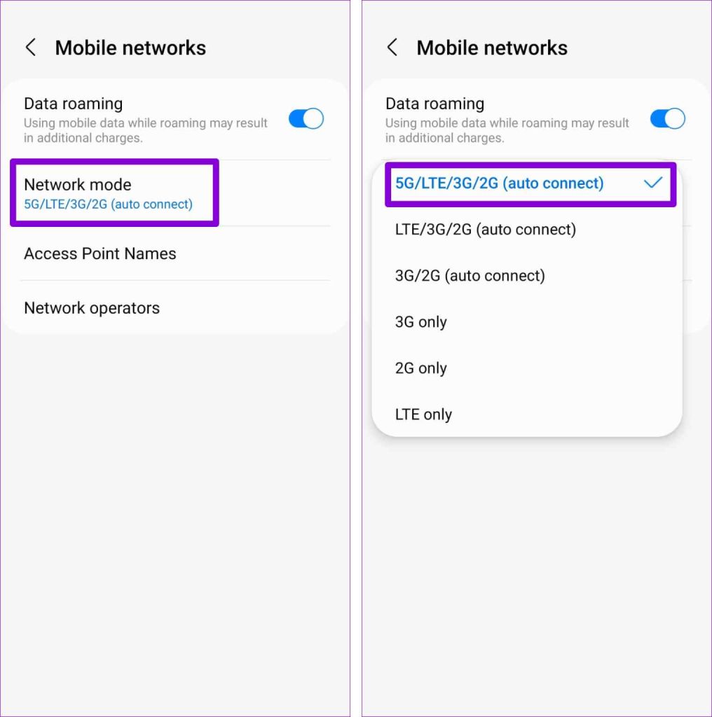 Network Mode option
