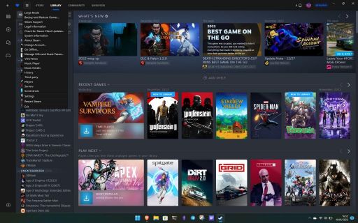 Steam