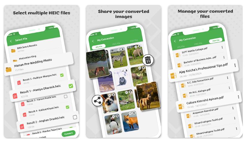 Converter by Tweenti Corp