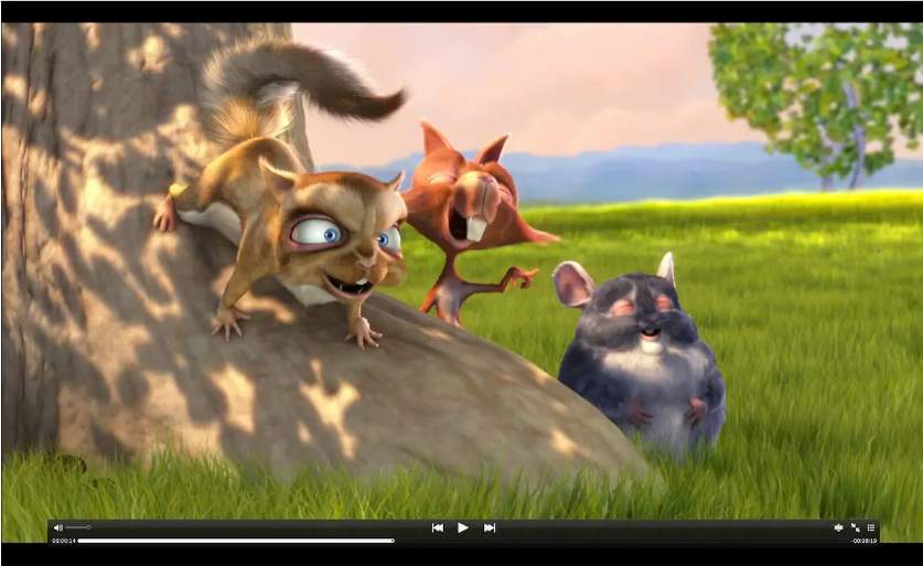MPlayerX