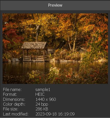 Preview window