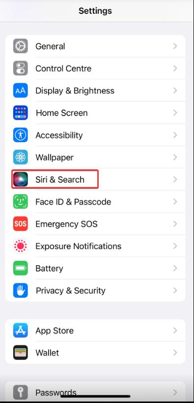 Siri & Search