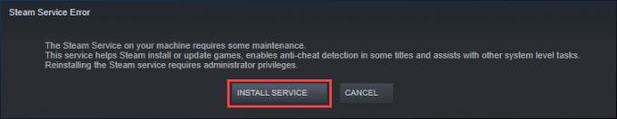 Steam service error