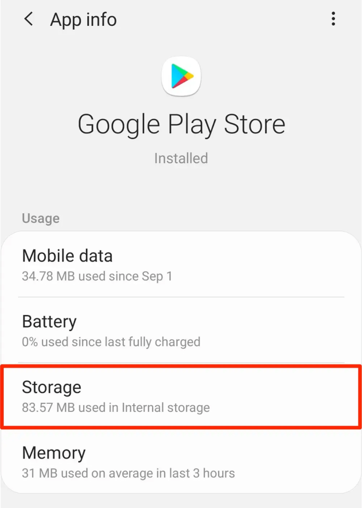 app info Google Play Store