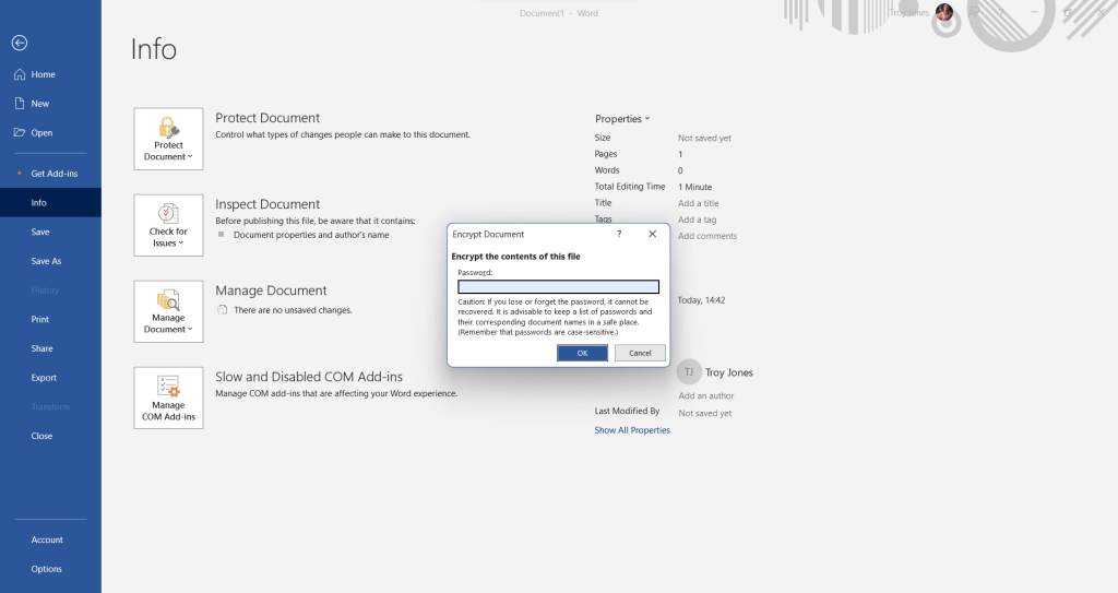 Lock word document