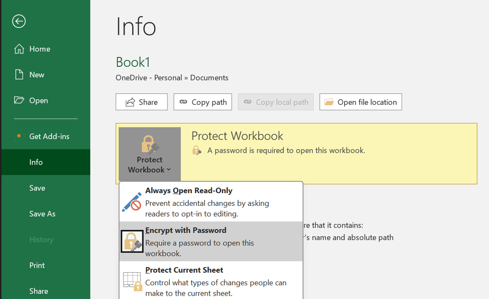 Protect Workbook