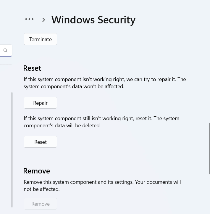 windows security
