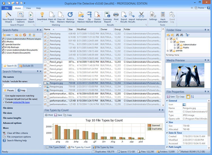 Duplicate File Detective