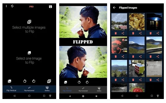 Flip Image