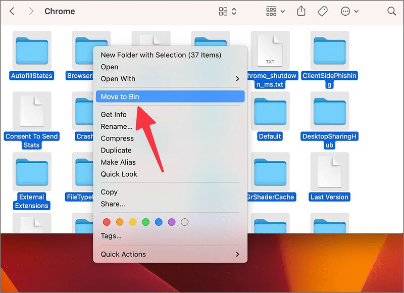 Folders and Files